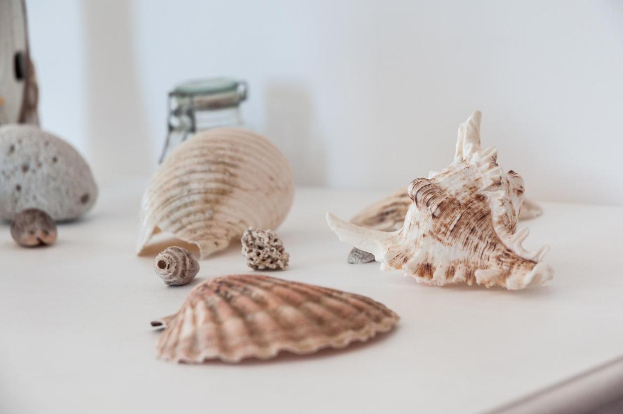 Appartamento HelloApulia_CASA CONCHIGLIA Monopoli Esterno foto